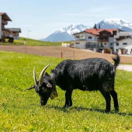 Seppen 2 Appartamento