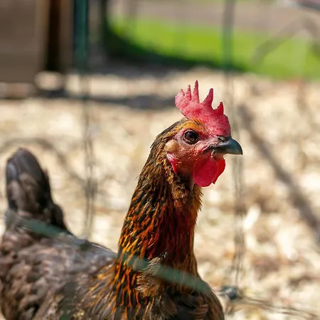 Appartamento Seppen 2