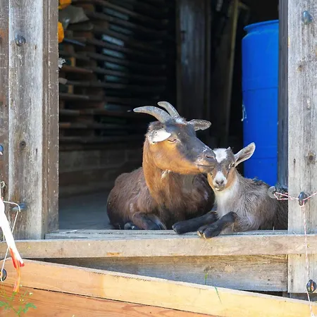 Seppen 2 Appartamento