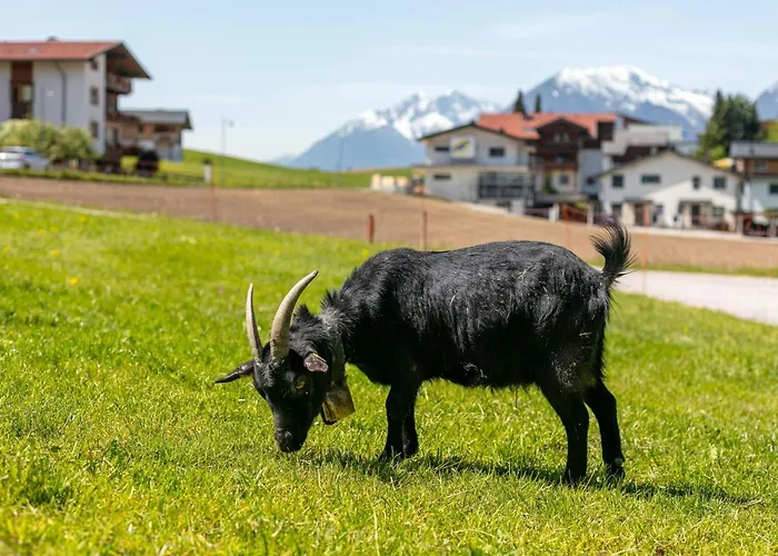 Seppen 2 Appartement