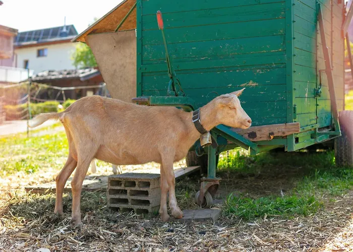 Appartement Seppen 2 Reith im Alpbachtal