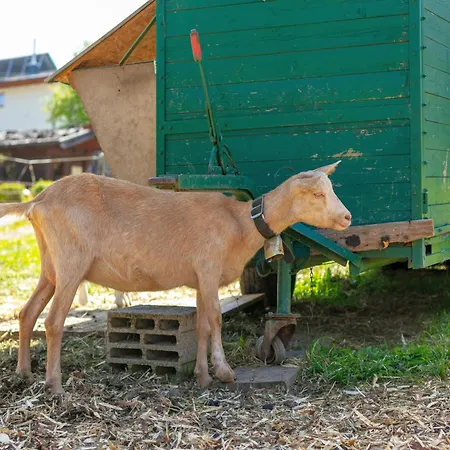 Διαμέρισμα Seppen 2 Reith im Alpbachtal